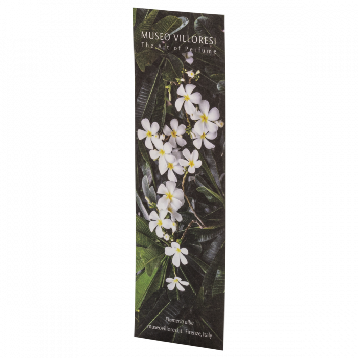 Scented Bookmark Teint De Neige Museum